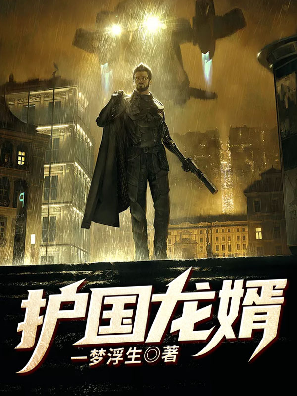 护国龙婿封面
